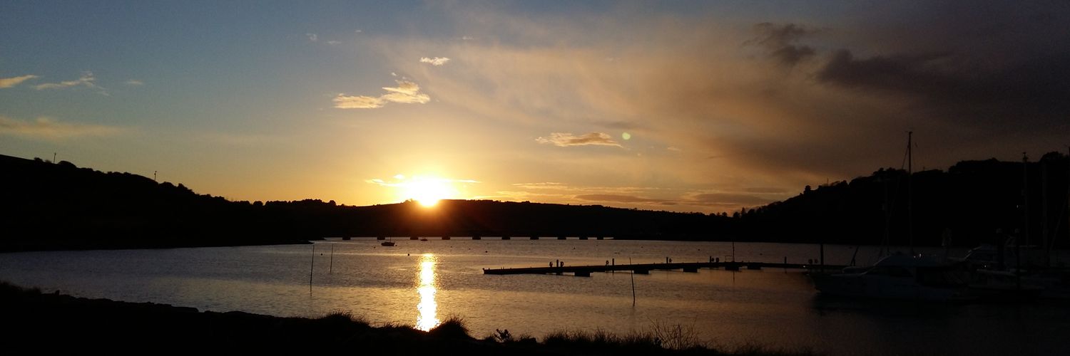 Hazelbee18's profile banner image
