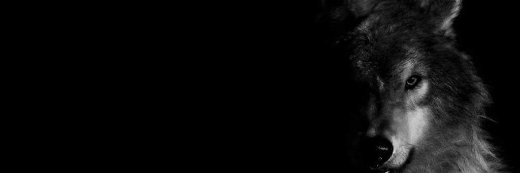 AkerAdil's profile banner image
