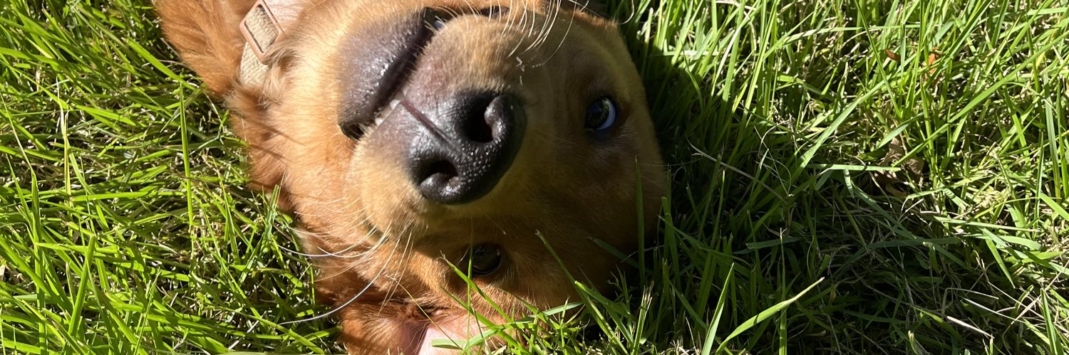 Jackie Austin Varner banner