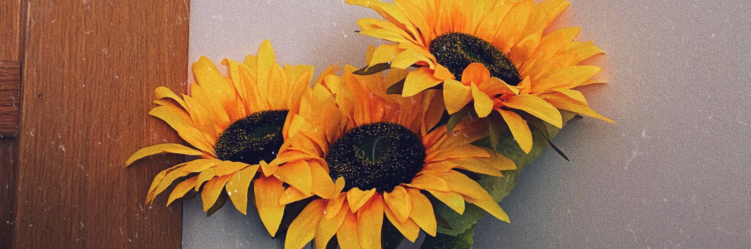 LauraGil02's profile banner image