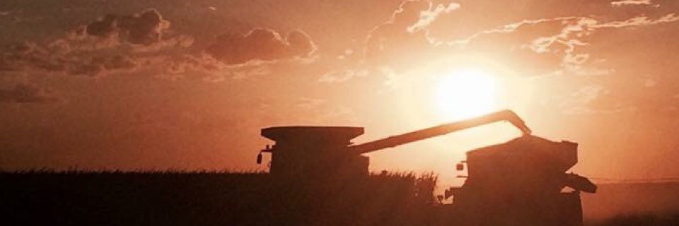 SmidElm's profile banner image