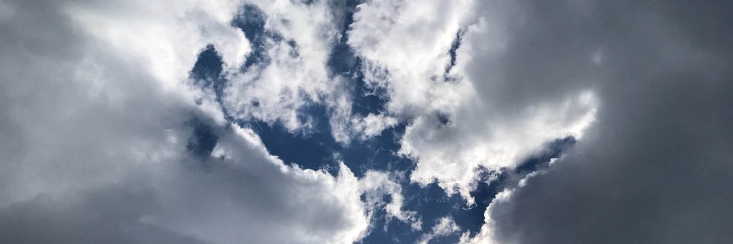 TSimonatto's profile banner image