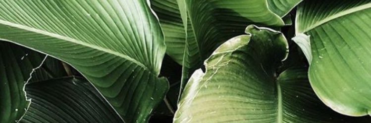Retro_AfroChic's profile banner image