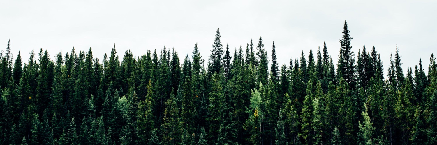 @hideaki 🏊‍♂️ banner