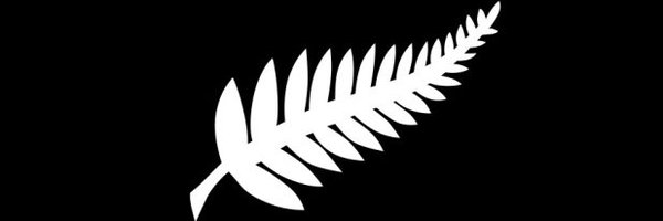 TomSermanni Profile Banner