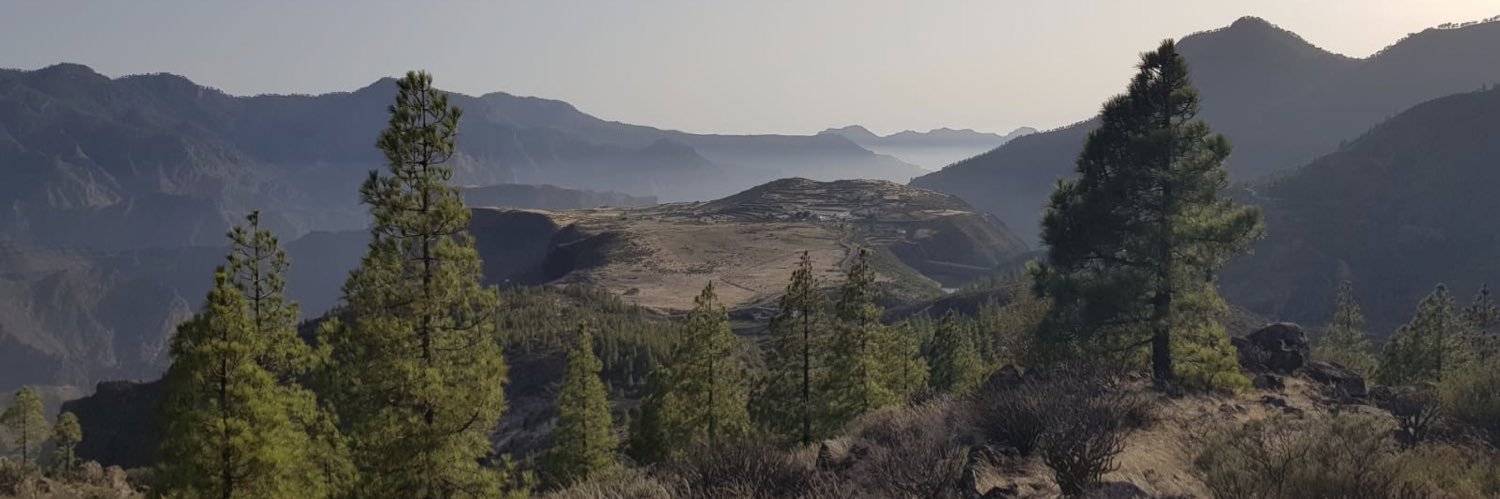 Luzmalbertos's profile banner image