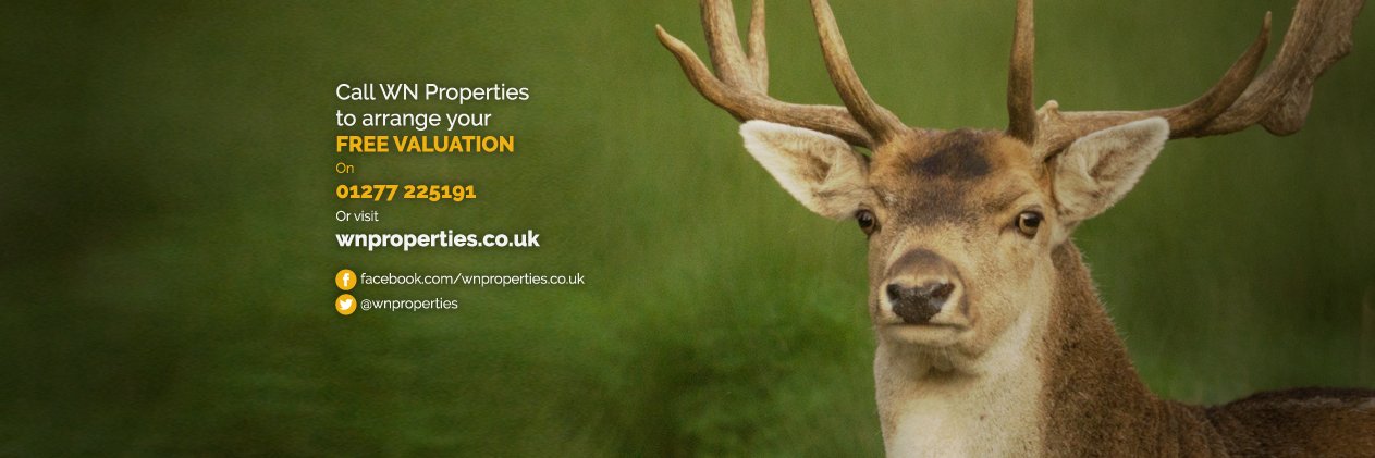 WNproperties's profile banner image