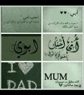 Noura_43's profile banner image