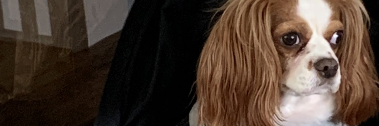Skyezrules2012's profile banner image