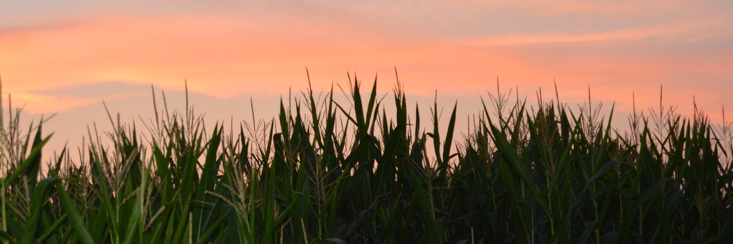 LisaThePumpkin's profile banner image