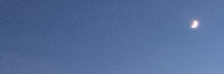 millylitther's profile banner image