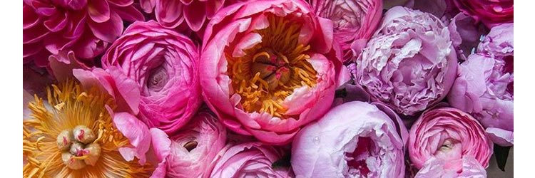 EmilyLynne9's profile banner image