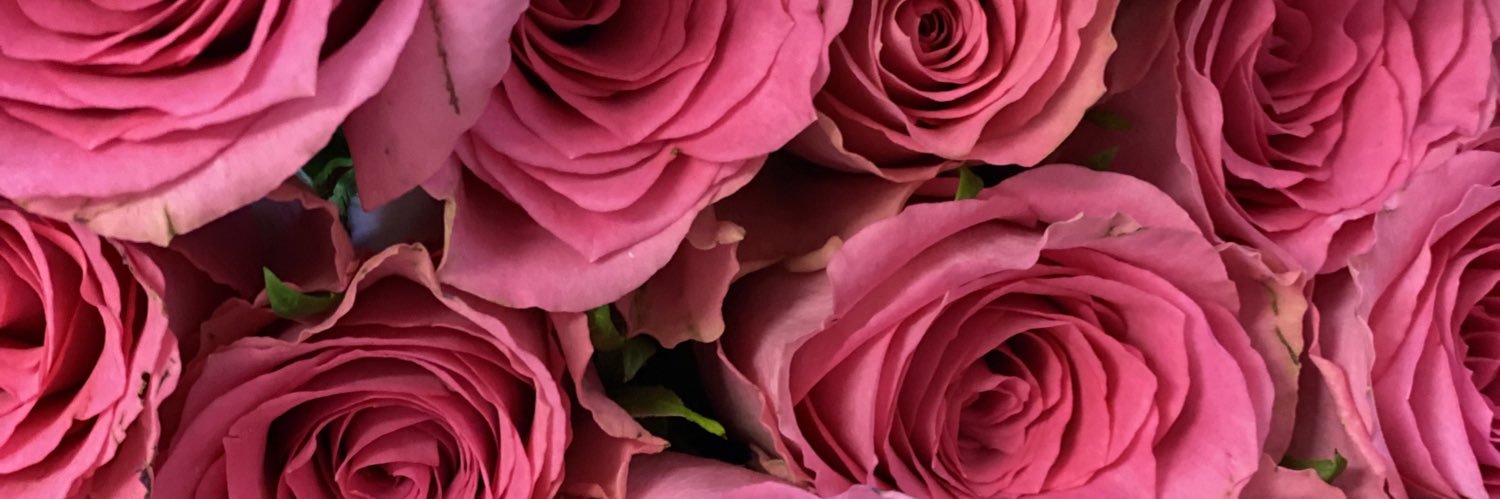 gy_ung's profile banner image