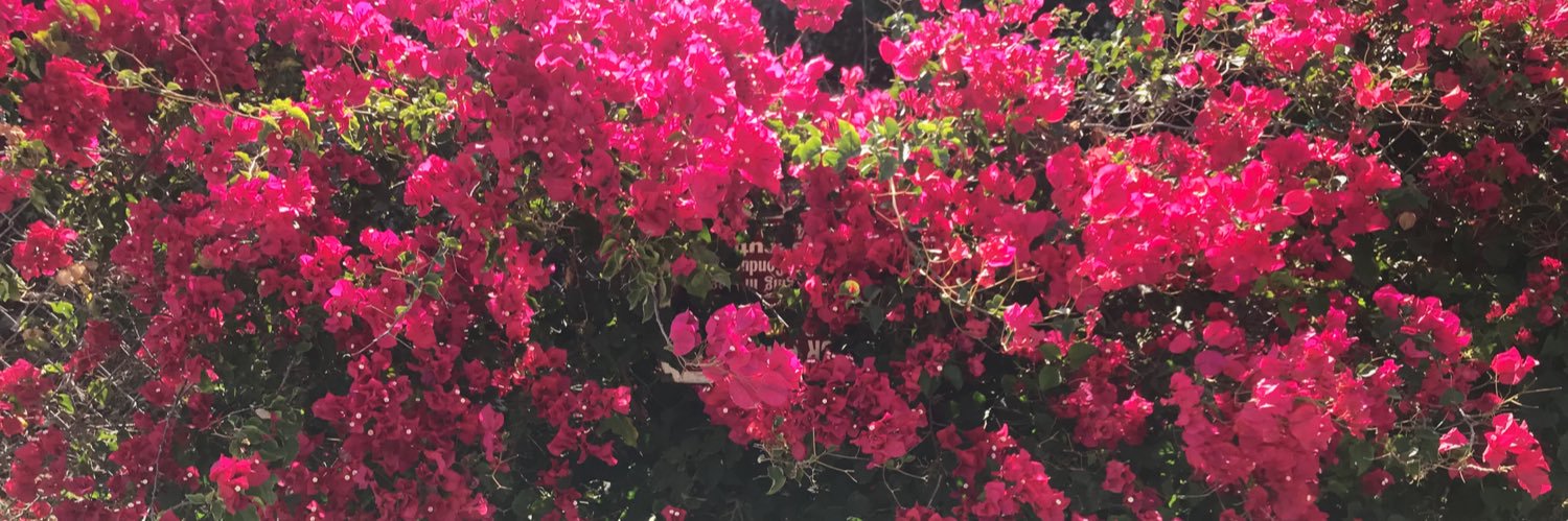 kyra_chase's profile banner image