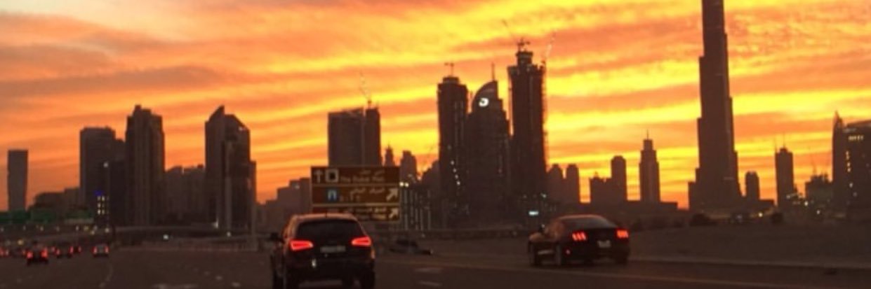 inesmhrz's profile banner image