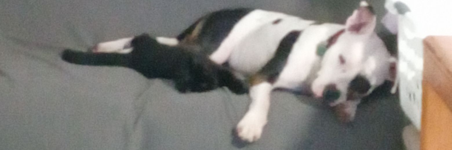 Delta_Plex's profile banner image