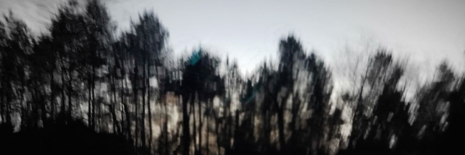 steven8147's profile banner image