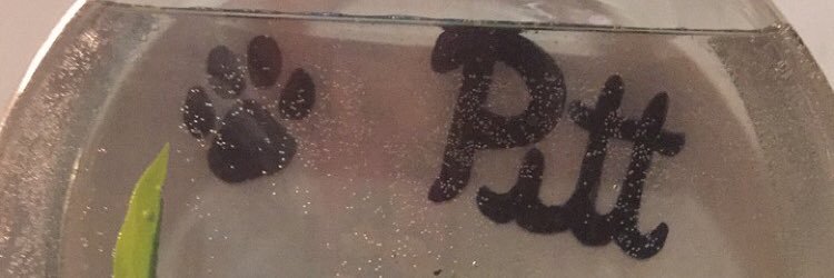 pjthefish69's profile banner image