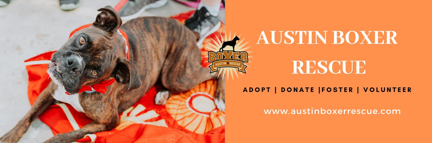 AustinBoxerRescue banner
