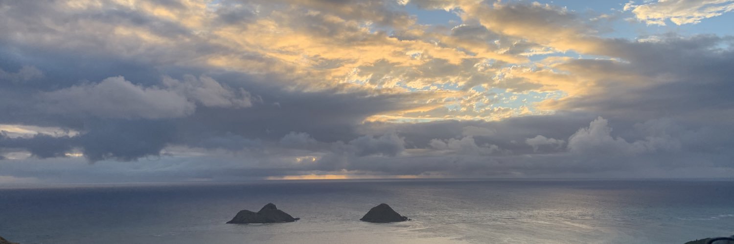 LuigiPanini's profile banner image