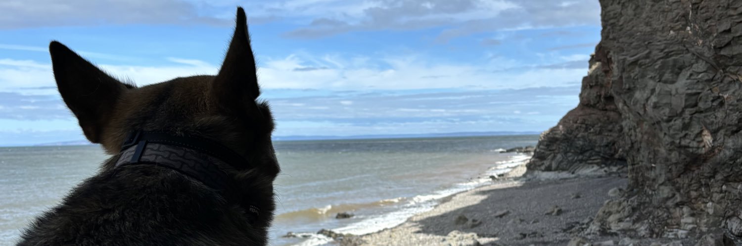 flynn_tanner's profile banner image