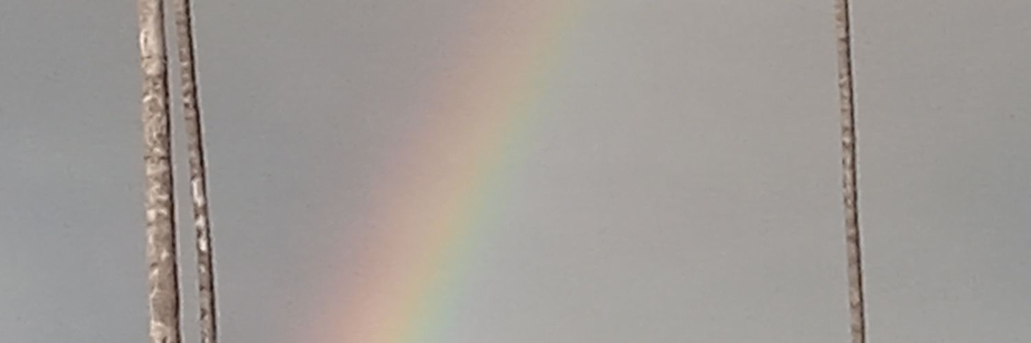Gregory Downer banner