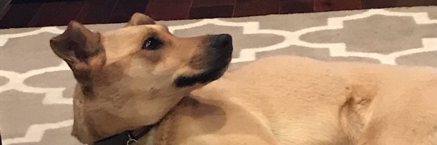 Geoff Preston banner