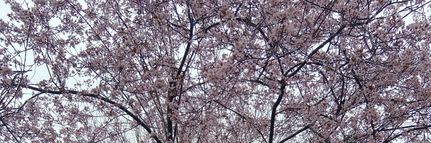 nuriaamm_'s profile banner image