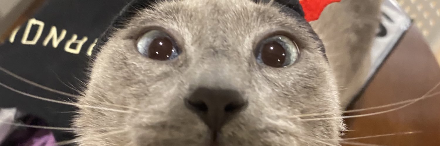 LittleCaroline0's profile banner image