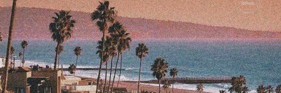 prescillaaaaaaa's profile banner image