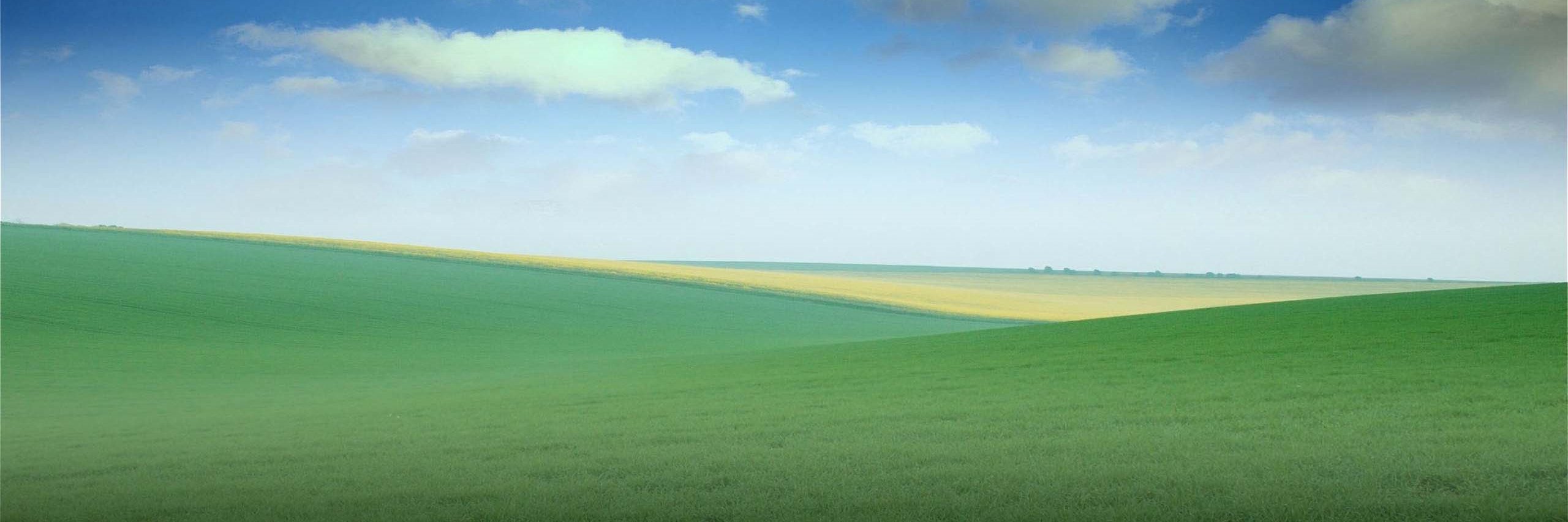 Pierre Picard banner