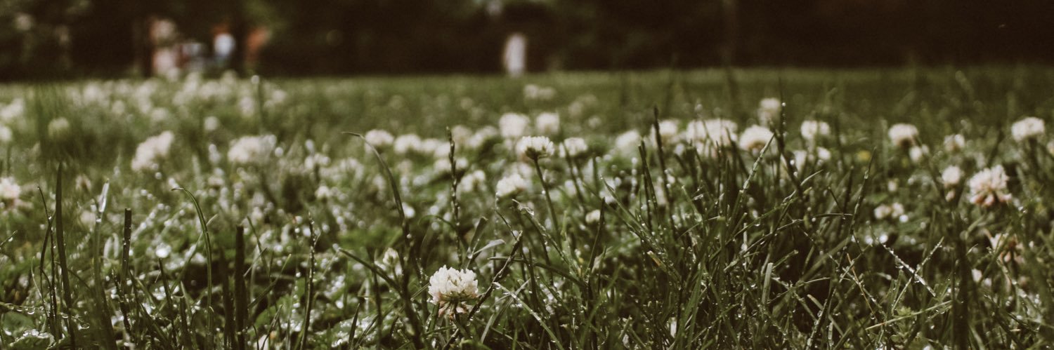 _emilynoelle's profile banner image
