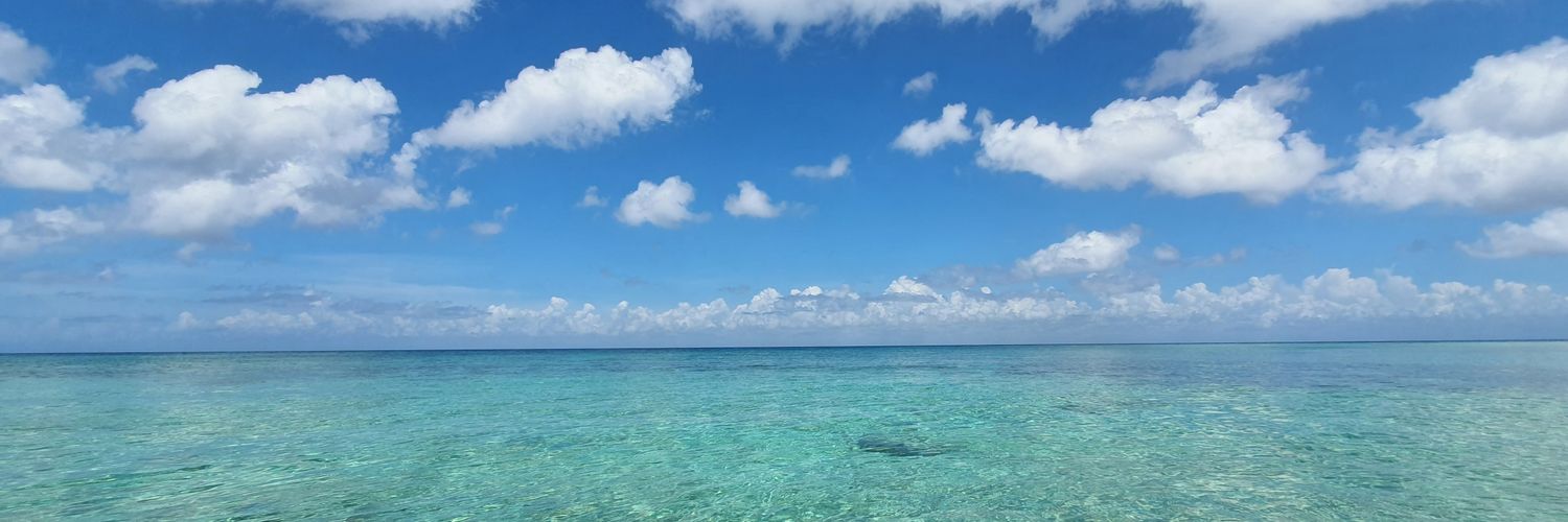 CarlitosMas's profile banner image