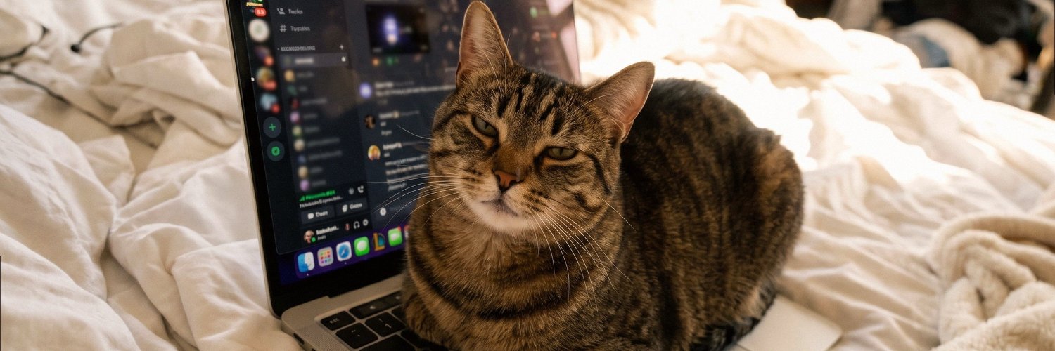 sofisoft267's profile banner image