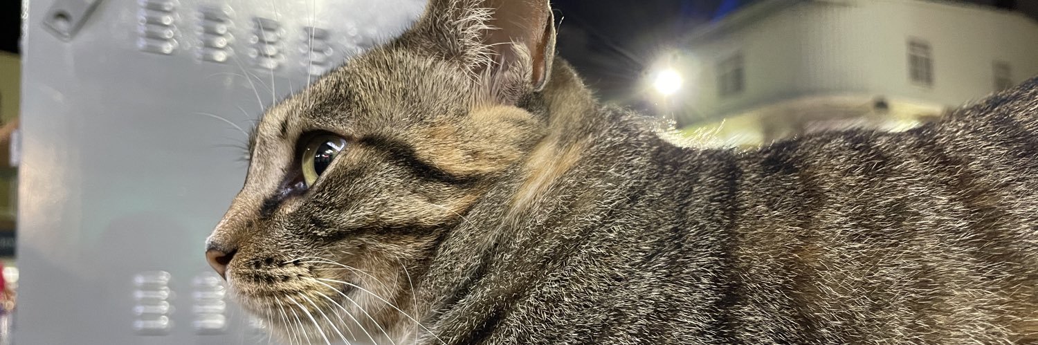 PeggyYo's profile banner image