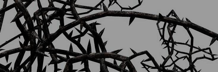 g0wonandonly's profile banner image