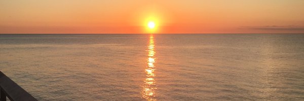 greig_d_taylor Profile Banner