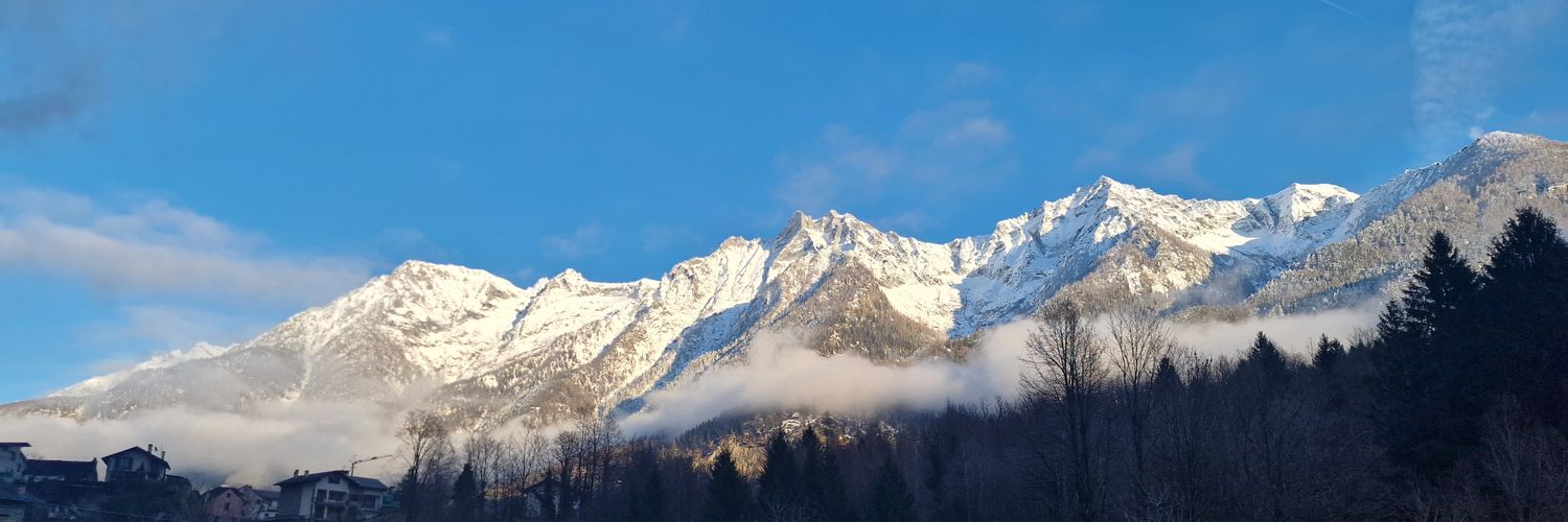 Ciprian Petrescu banner