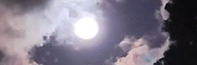 TrixieG64's profile banner image