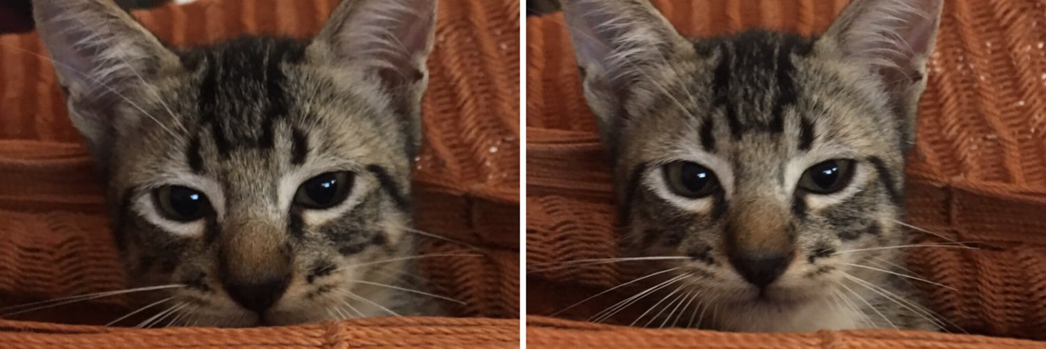 Julichii's profile banner image