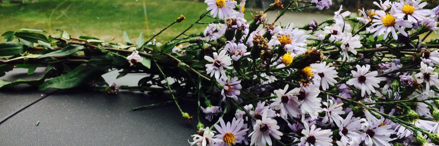 Kenzie_Tomer77's profile banner image