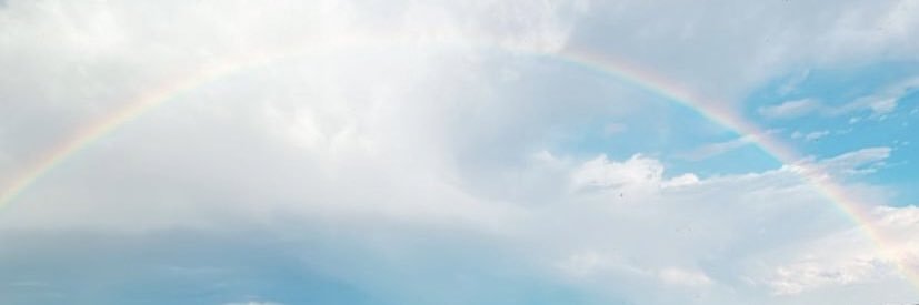 wlj7's profile banner image