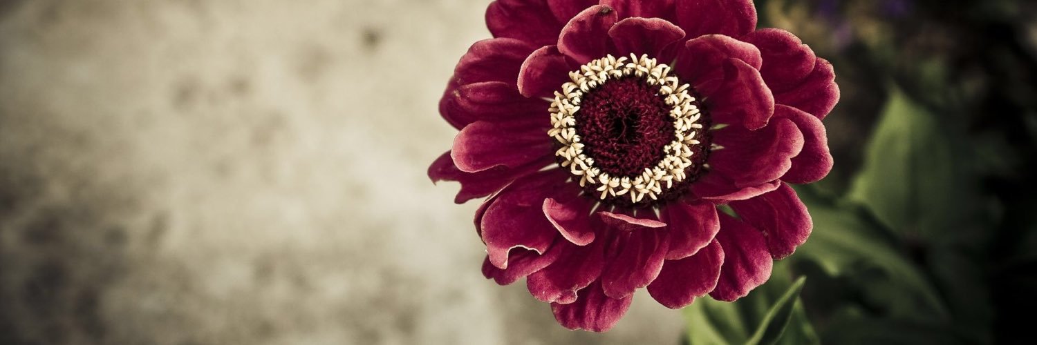 kiramustafa's profile banner image
