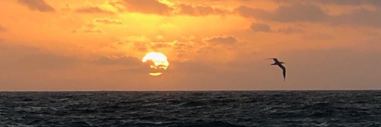 omelmart's profile banner image