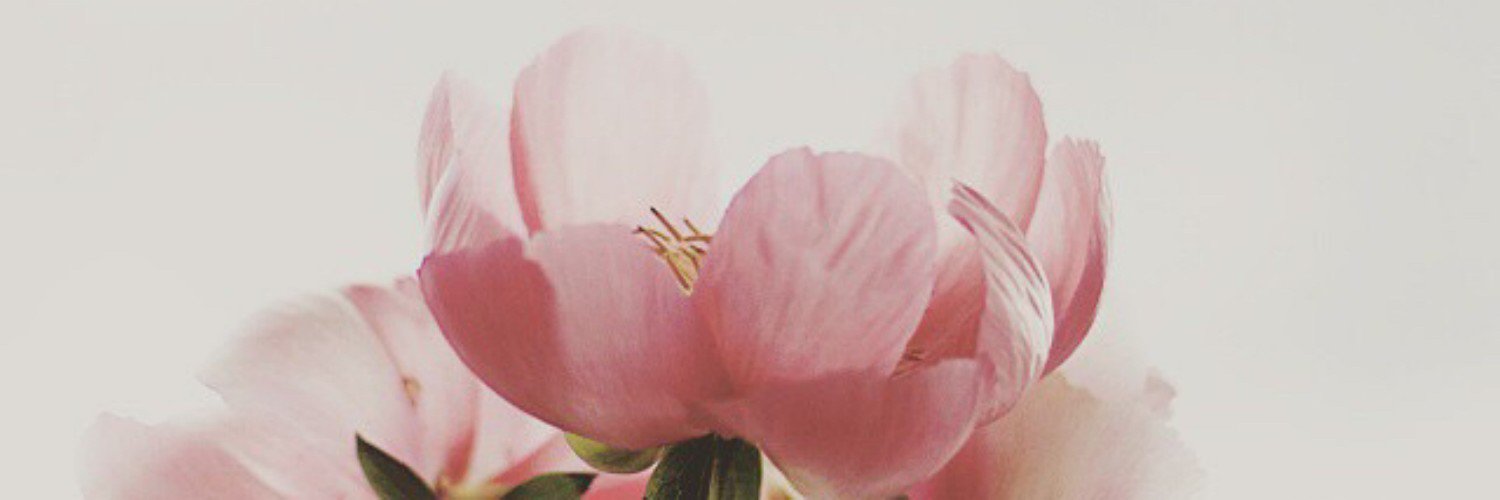 Ph_asmaaS's profile banner image