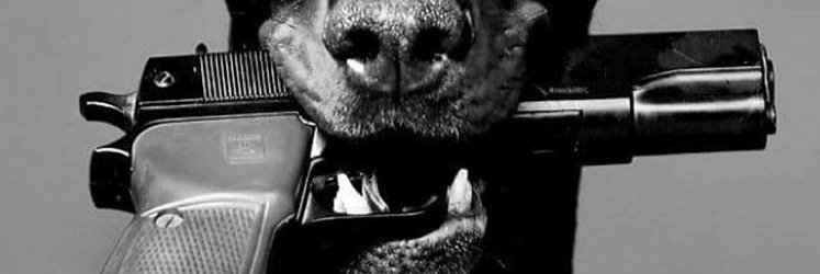 Hustlers Spirit banner