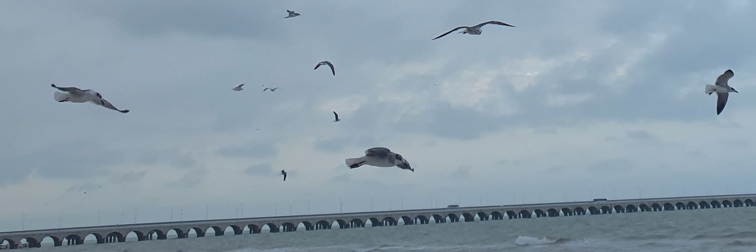 davidshorsi's profile banner image