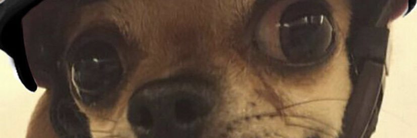 PretyFlakoPipes's profile banner image