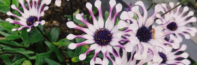 sofisuarezg's profile banner image