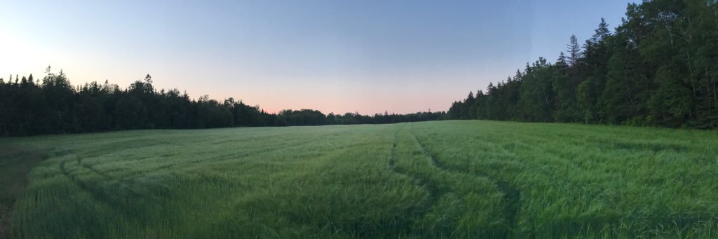 Tobin Stetson banner